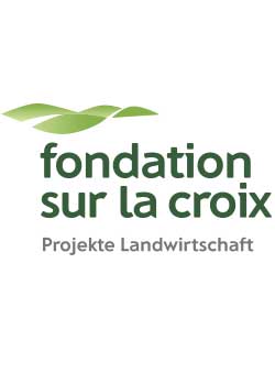 fondation-croix.jpg